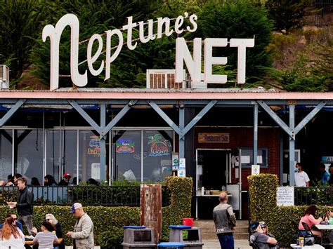 neptune's net reviews